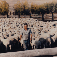 Juan Juaristi Sheepherder.jpg